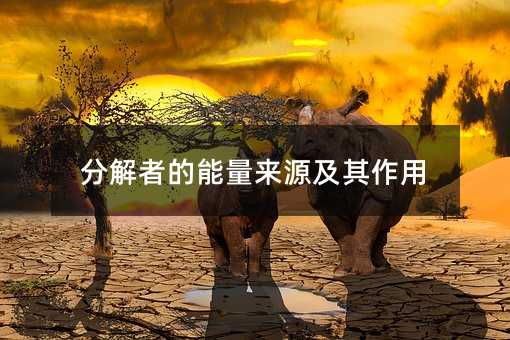 �ֽ��ߵ�������Դ��������