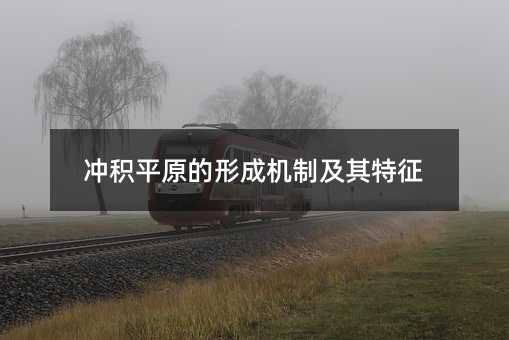 冲积平原的形成机制及其特征