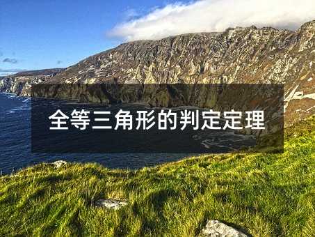 ȫ�������ε��ж�����