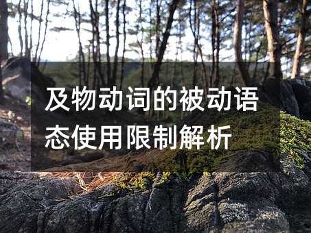 及物动词的被动语态使用限制解析