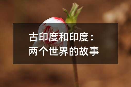 古印度和印度:两个世界的故事
