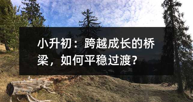 小升初:跨越成长的桥梁,如何平稳过渡?