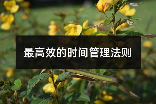 最高效的时间管理法则