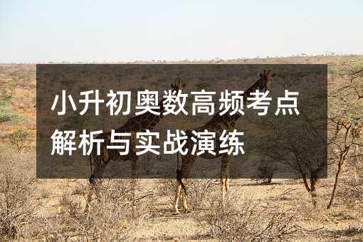 小升初奥数高频考点解析与实战演练