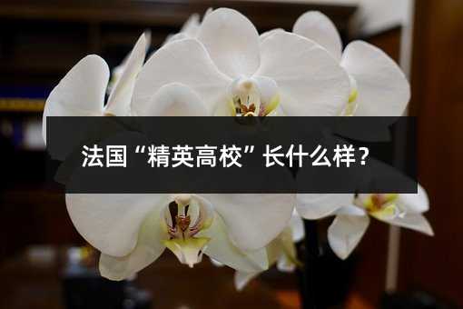 法国“精英高校”长什么样?