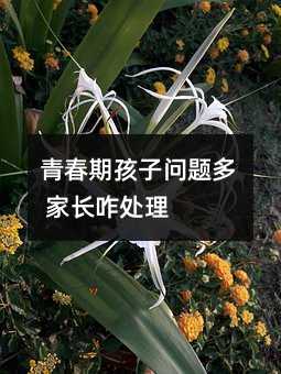 青春期孩子问题多 家长咋处理