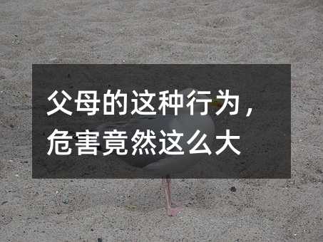 父母的这种行为,危害竟然这么大