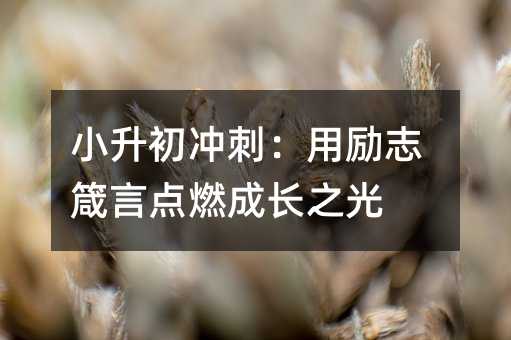 小升初冲刺:用励志箴言点燃成长之光