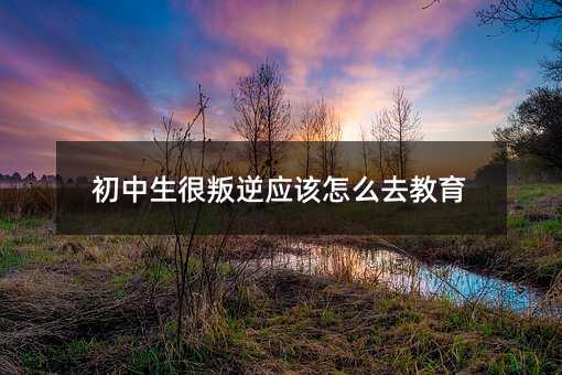 初中生很叛逆应该怎么去教育