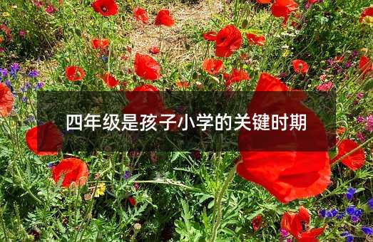四年级是孩子小学的关键时期