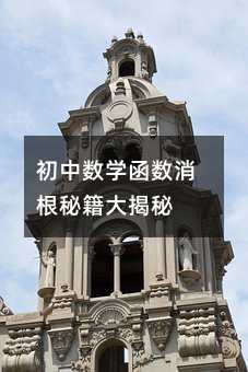 初中数学函数消根秘籍大揭秘