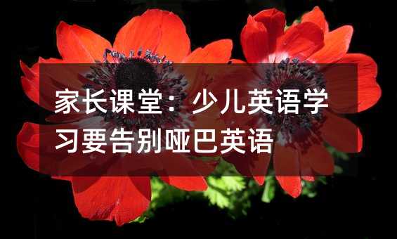 家长课堂:少儿英语学习要告别哑巴英语