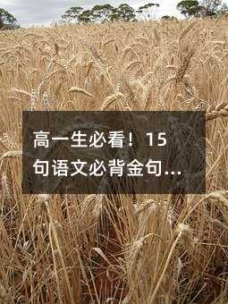 高一生必看!15句语文必背金句背后的学习哲学:从古诗文到学霸养成秘籍
