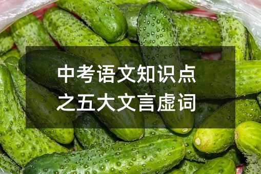 中考语文知识点之五大文言虚词