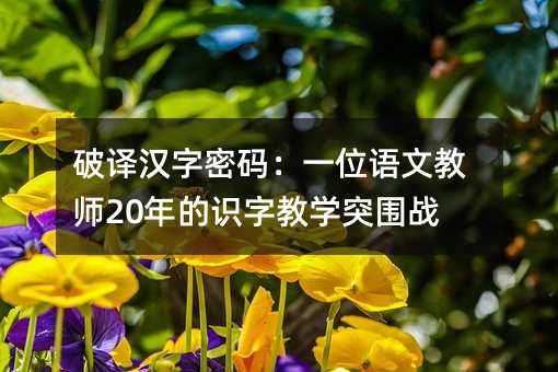 破译汉字密码:一位语文教师20年的识字教学突围战
