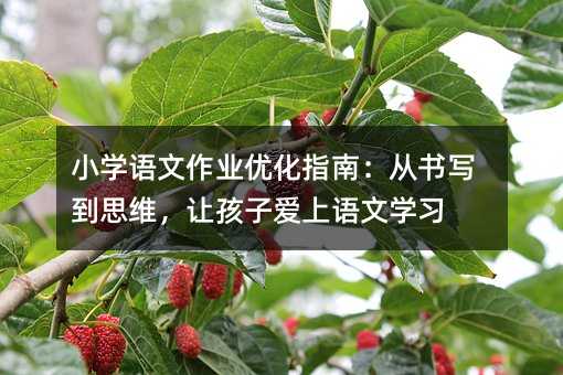 小学语文作业优化指南:从书写到思维,让孩子爱上语文学习