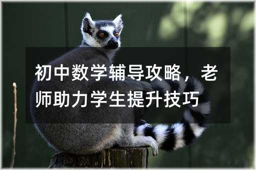 初中数学辅导攻略,老师助力学生提升技巧
