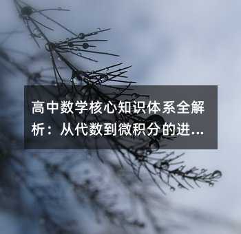 ������ѧ����֪ʶ��ϵȫ�������Ӵ�����΢���ֵĽ���֮·
