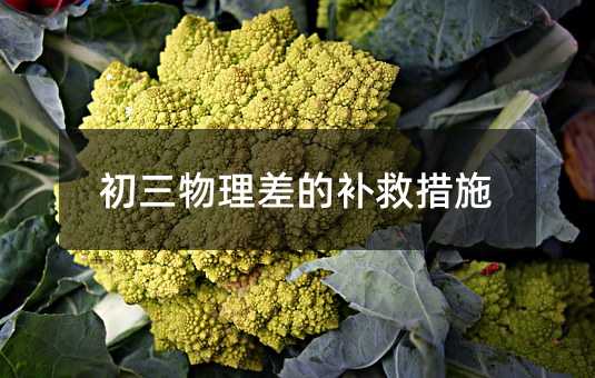 ����������Ĳ��ȴ�ʩ