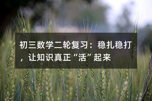 初三数学二轮复习:稳扎稳打,让知识真正“活”起来