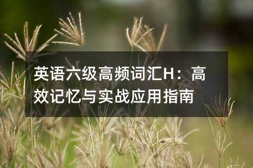 Ӣ��������Ƶ�ʻ�H����Ч������ʵսӦ��ָ��