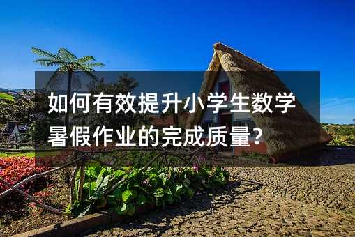 如何有效提升小学生数学暑假作业的完成质量?