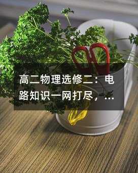 高二物理选修二:电路知识一网打尽,轻松拿下90+