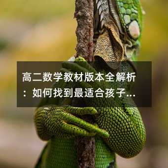 高二数学教材版本全解析:如何找到最适合孩子的学习路径?