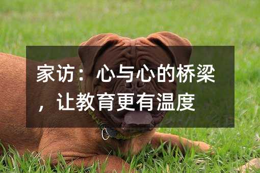 家访:心与心的桥梁,让教育更有温度