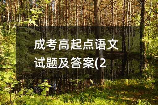 成考高起点语文试题及答案(2)