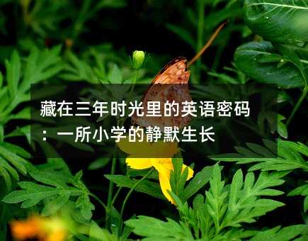 藏在三年时光里的英语密码:一所小学的静默生长
