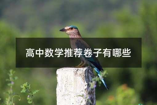 高中数学推荐卷子有哪些