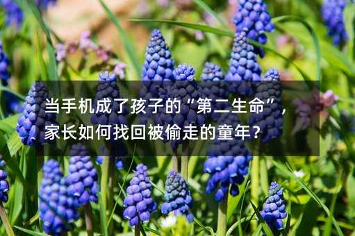 当手机成了孩子的“第二生命”,家长如何找回被偷走的童年?