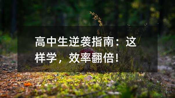 ��������Ϯָ�ϣ�����ѧ��Ч�ʷ�����