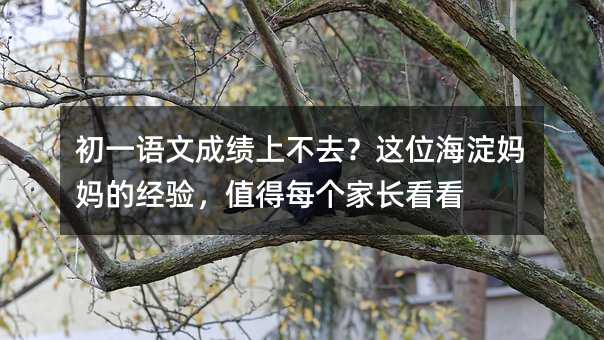 ��һ���ĳɼ��ϲ�ȥ����λ��������ľ��飬ֵ��ÿ���ҳ�����