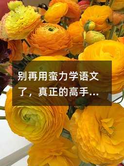 ����������ѧ�����ˣ������ĸ��ֶ������Ĺ������ĸ�ϵͳ