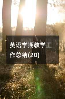 Ӣ��ѧ�ڽ�ѧ�����ܽ�(20)