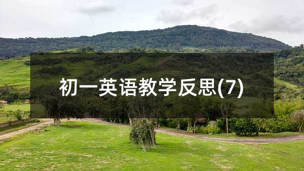 初一英语教学反思(7)