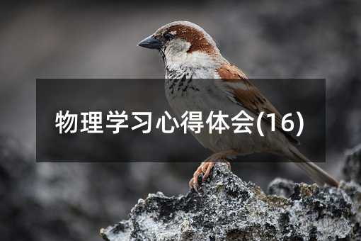 ����ѧϰ�ĵ����(16)