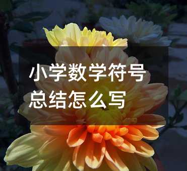 小学数学符号总结怎么写