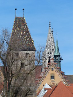 ��ѧ��ѧ����(6)