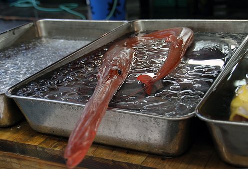 Ϊʲô���ӿ��ⲹϰЧ������