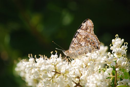 中考结束,别让“发挥失常”成为你逃避现实的借口:写给即将踏入高中的你