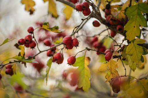 14�꺢����ѧ����ʵ������ĸ��ȣ������⼸�㣬�ȱ���Ŭ������Ҫ