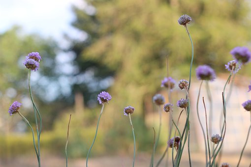 ����զ��ϰ����ʦ������