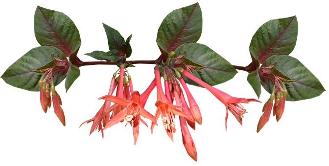 ���㿪������ѭ��ѧϰ��������-����-�½�