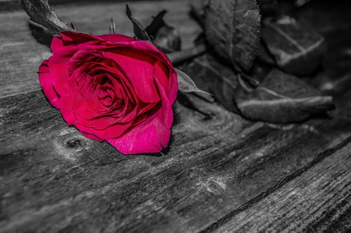 һλСѧ���ġ����������ټƻ�ˢ������Ȧ�����ں��ӵĺ��ٶ���ô������