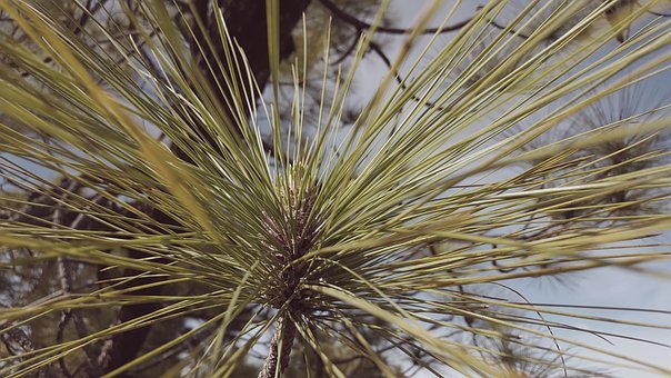 初二分水岭:一场90%的孩子都避不开的危机与突围