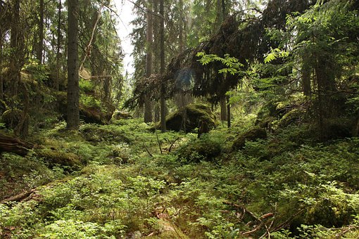 ��һ��ѧ�����������ֿƵ�һ��������Ҫ�ø߷֣��⼸�������ʵ��λ